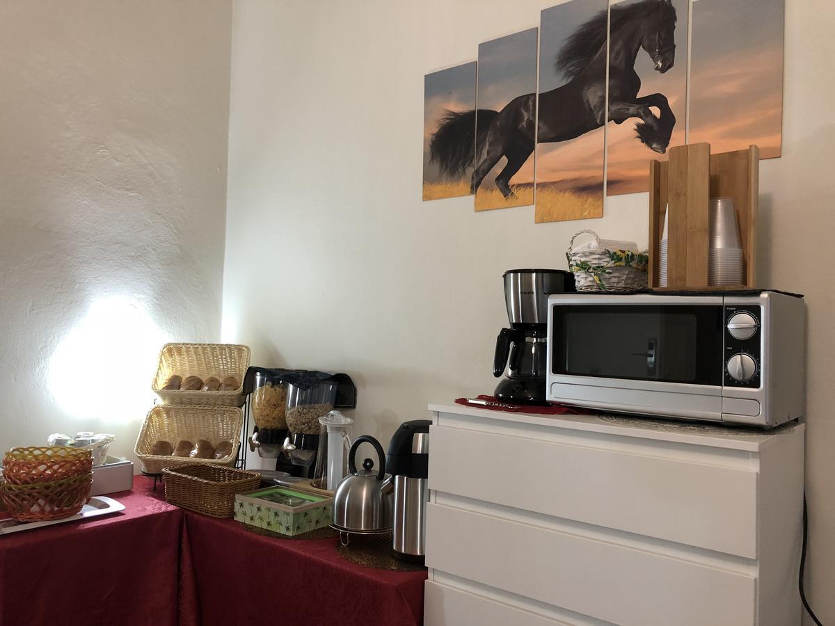 Aliante Turist House Bed and Breakfast Pisa Exteriör bild